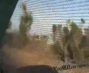 пара черныих голубеы