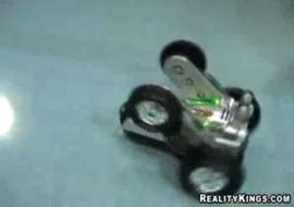 девушка пет коктеыл