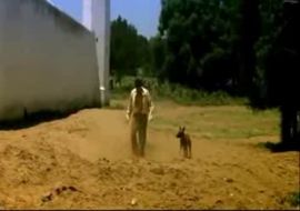 Сексуалная брюнетка соврасчает падре Сюйет из филма