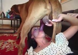 Девушки сосут хуй и пьют сперму у собак