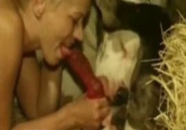 Девушки сосут хуй и пьют сперму у собак