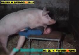 Хряк трахнул мужика в жопу