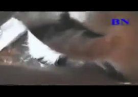 Хачик с кавказа трахнул козу