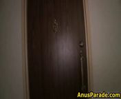 Болшая латинсая заднитса