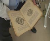 Виктория Роуз  осмотр с зеркалом