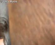 Парень зоофил трахает лошадь